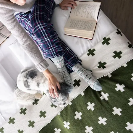 Hotel Altein Arosa, A Faern Collection Arosa