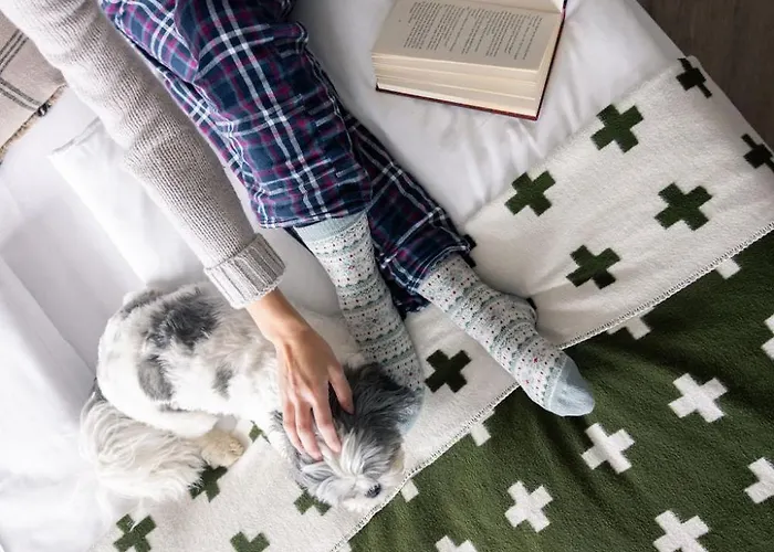 Hotel Altein Arosa, A Faern Collection Arosa